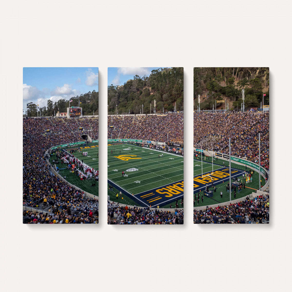 38054-MGV-CV-36X24 - University of California Golden Bears Football Team Print - Berkeley California Memorial Stadium Art