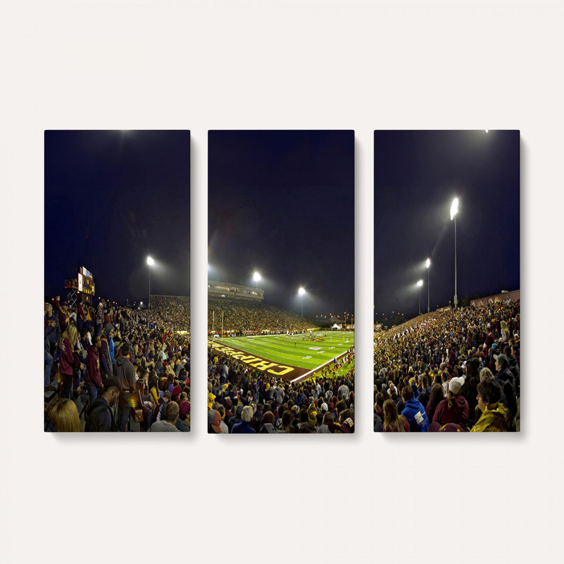 Central Michigan University Chippewas Canvas Wall Art