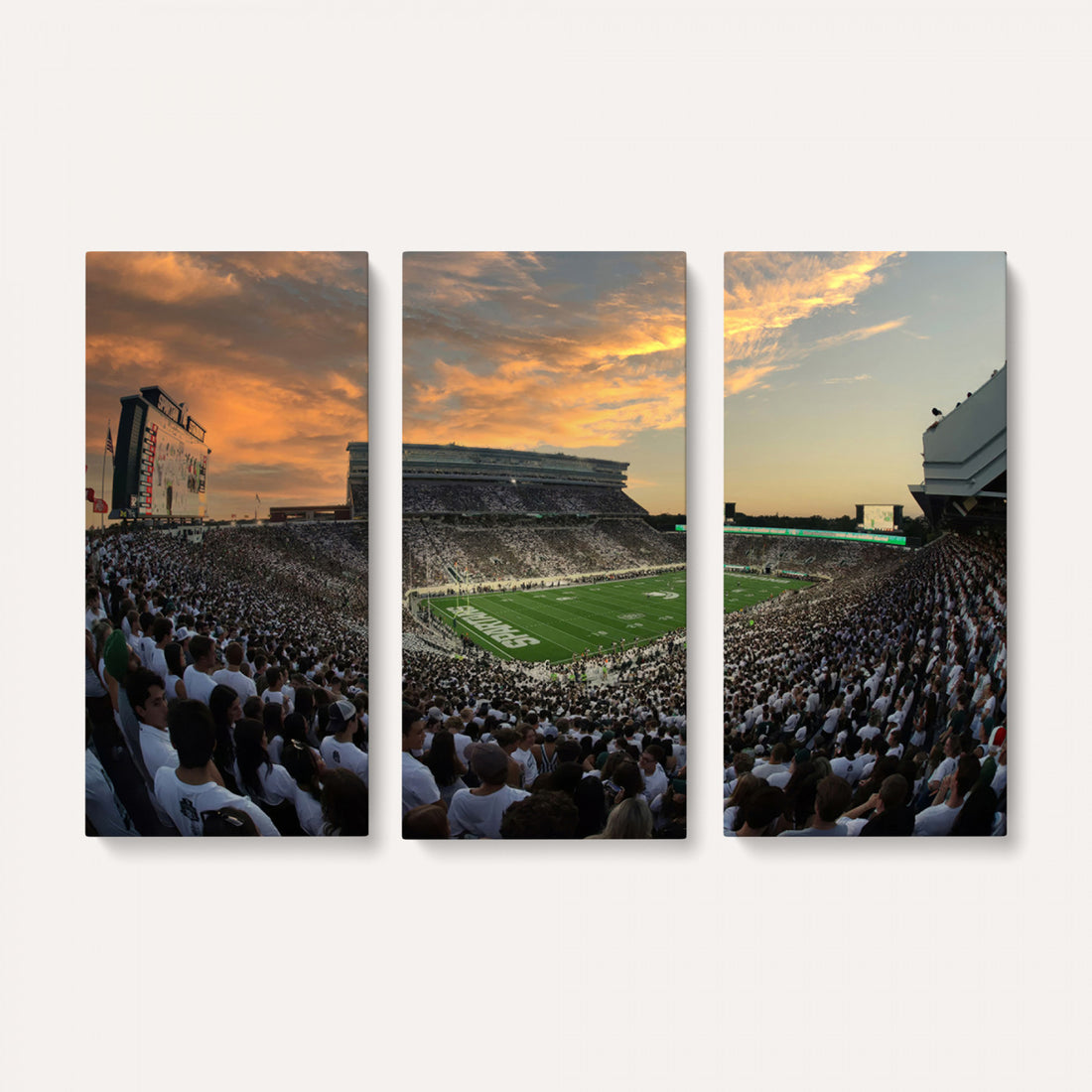 Michigan State Spartans Football Team Print, East Lansing, Framed and Ready to Hang