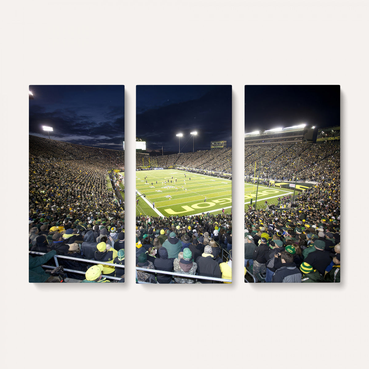 48756-PAN-FL-20X10 - University of Oregon Ducks Football Team Print - Eugene Autzen Stadium Wall Art Canvas Print