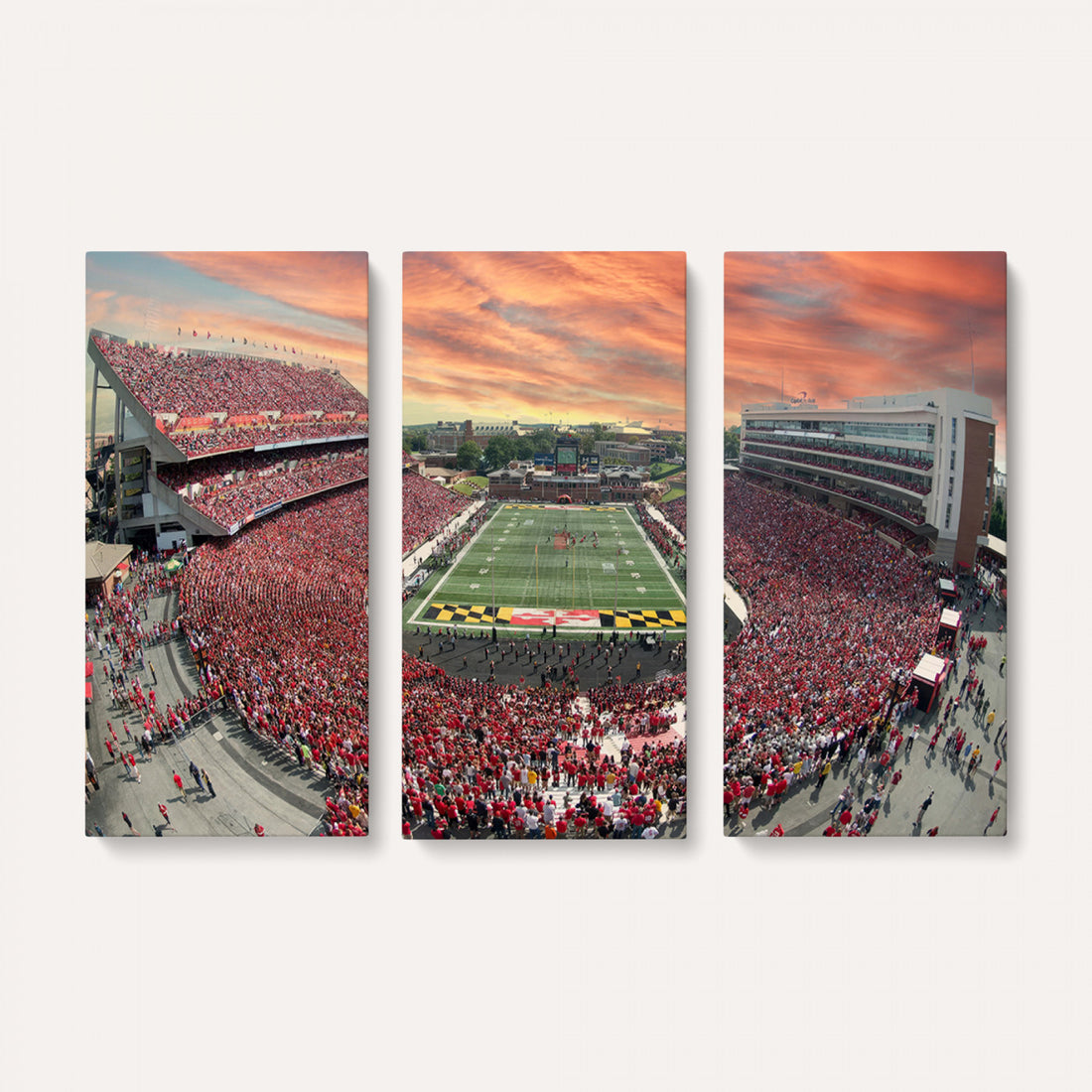 University of Maryland Terrapins Football Team Print, Framed and Ready to Hang
