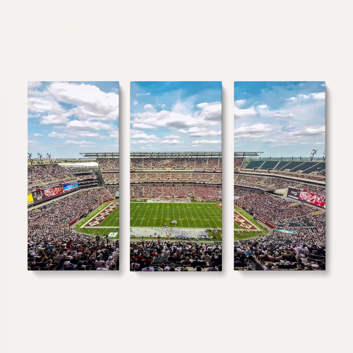 29243-PAN-FL-20X10 - The Temple University Owls Athletics Team Print - Philadelphia Lincoln Financial Field Stadium Wall