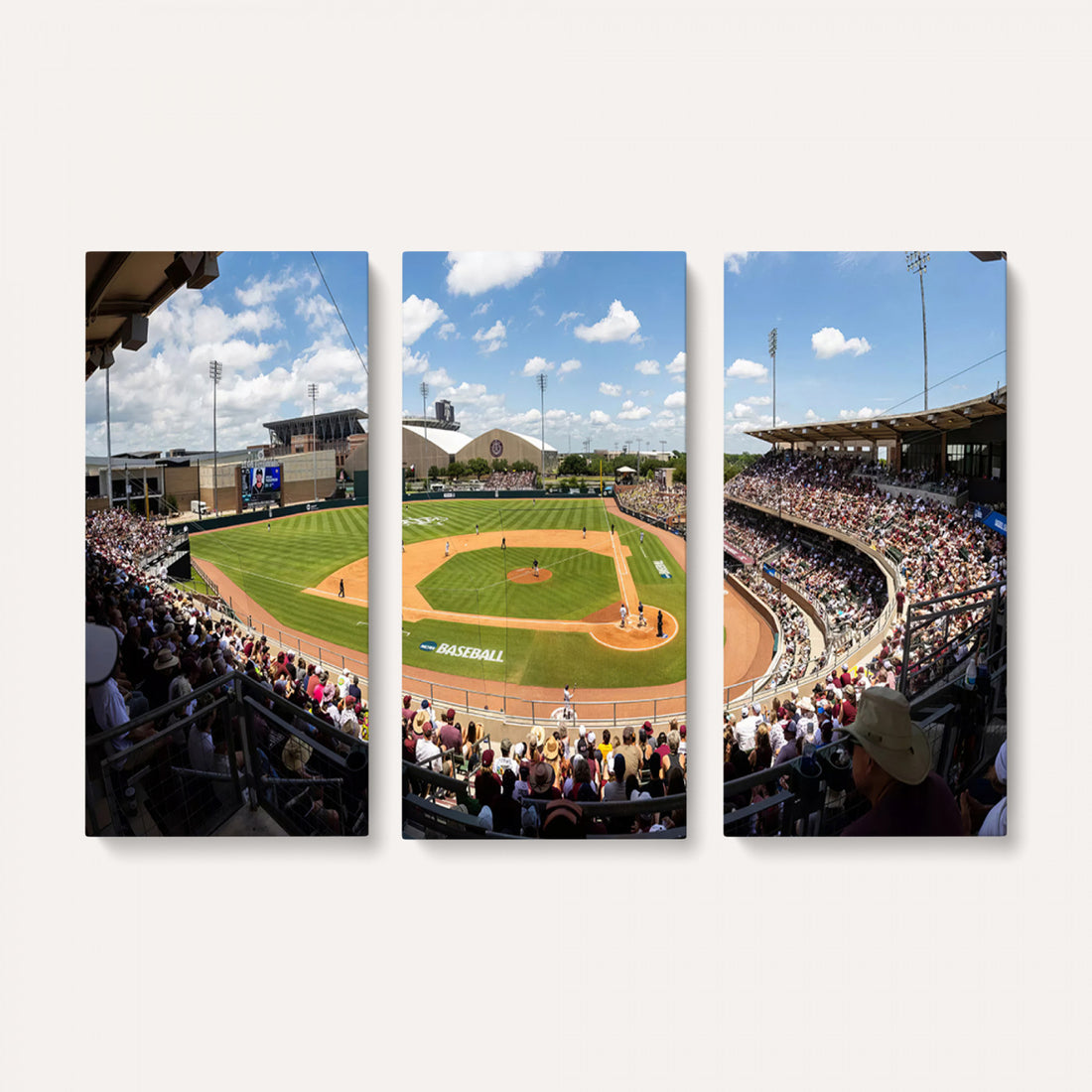 The Texas A&M University Aggies Athletics Team Print