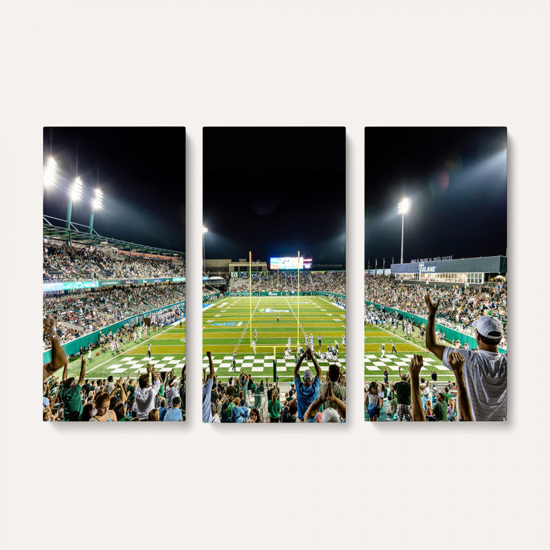 The Tulane University Green Wave Football Team Print, New Orleans Yulman Stadium