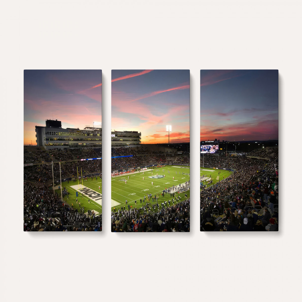 64416-MGV-CV-36X24 - The University of Connecticut UCONN Huskies Football Team Print, Framed and Ready to Hang