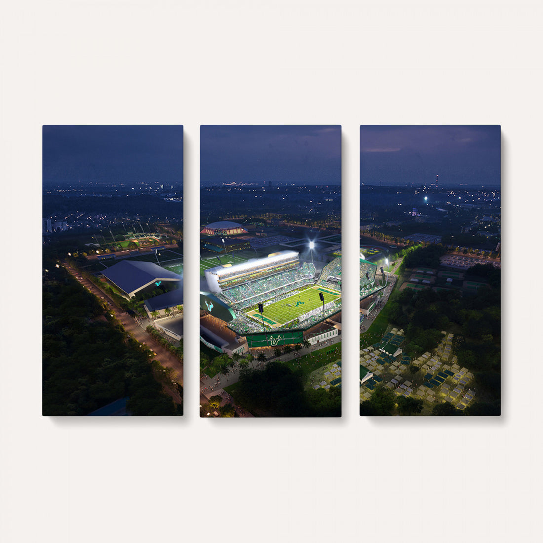 The University of South Florida Bulls Football Team Print