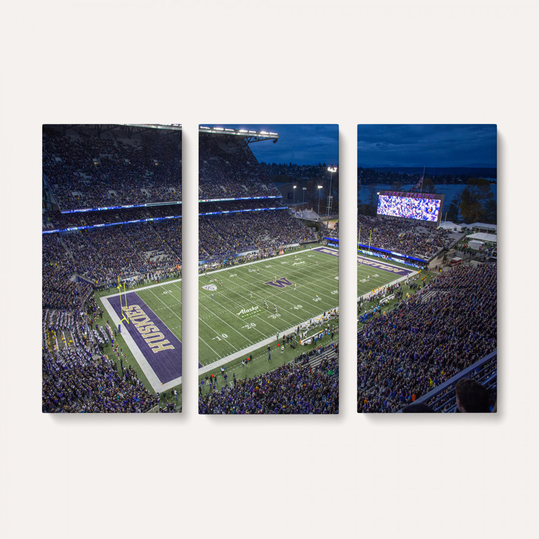 The University of Washington Huskies Football Team Print, Framed and Ready to Hang