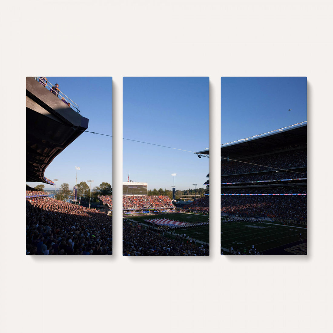 The University of Washington Huskies Football Team Print