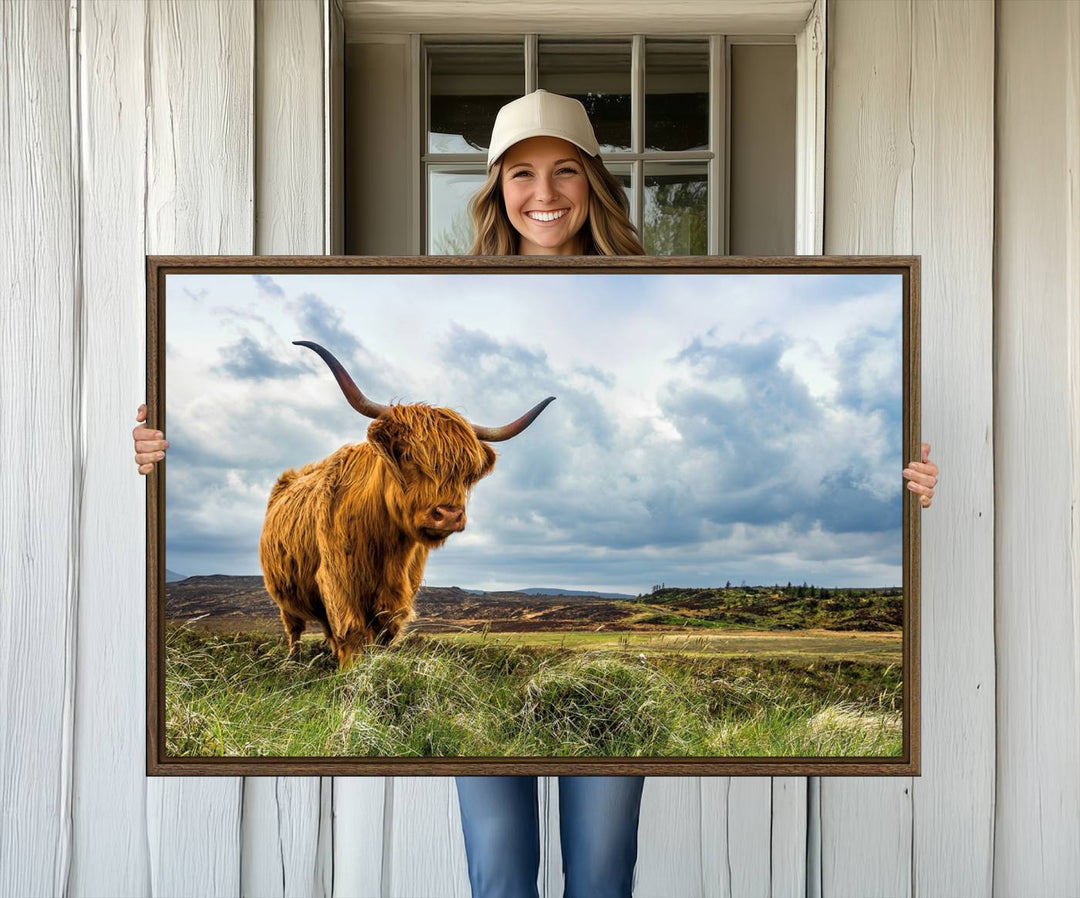 Highland Cattle Canvas Print: A minimalistic touch for any setting.