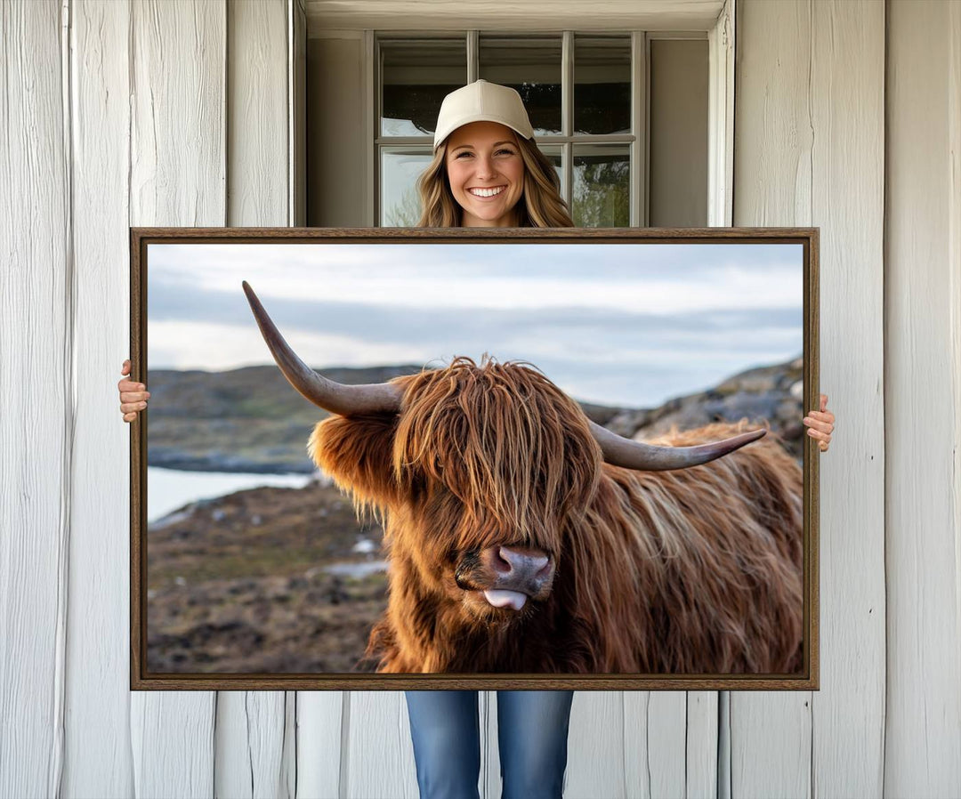 The Cuddly Highland Cow Canvas hangs, adding charm with its shaggy elegance.