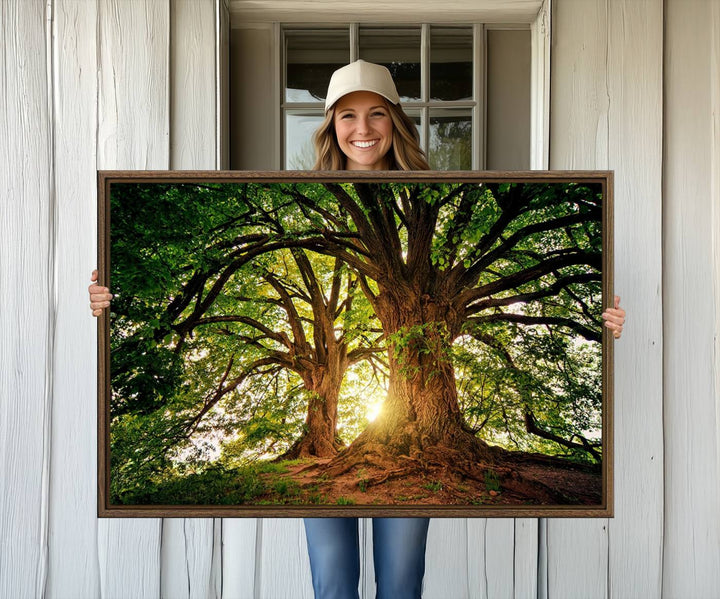 Majestic Ancient Tree Wall Art is illuminated by sunlit forest rays.