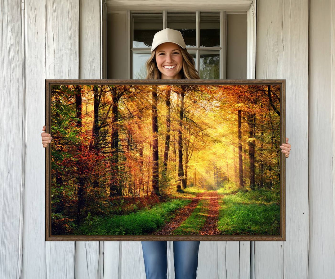 The Sunlight Through Trees Wall Art Canvas Print showcases a sunlit autumn forest and includes UV protection to ensure lasting vibrance.