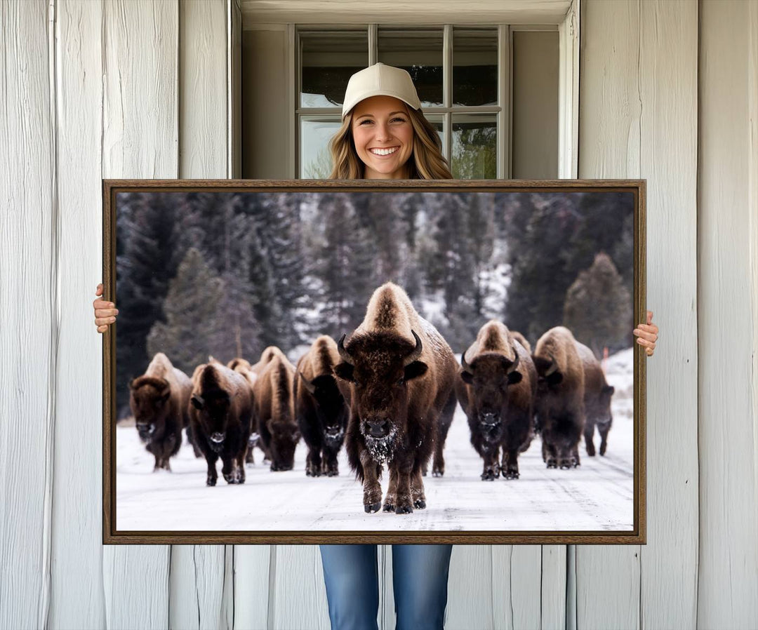 Bison Herd Canvas Wall Art.