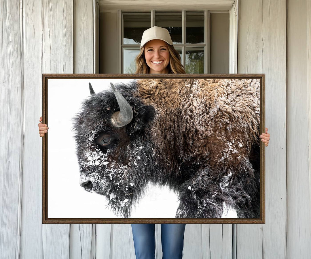 The American Bison Wall Art Print is prominently displayed on the wall.