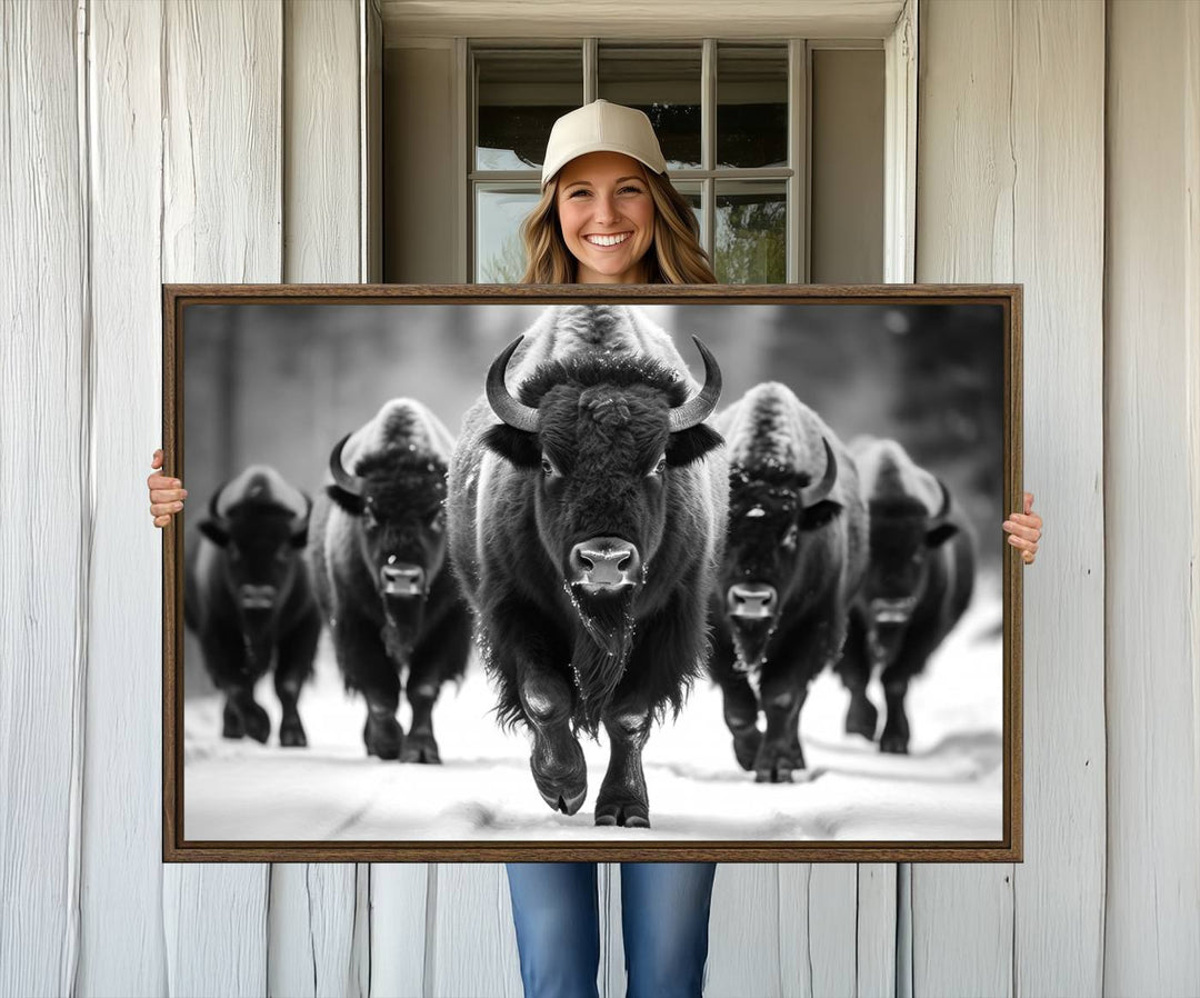 A black and white American Bison herd canvas print adorns the wall.