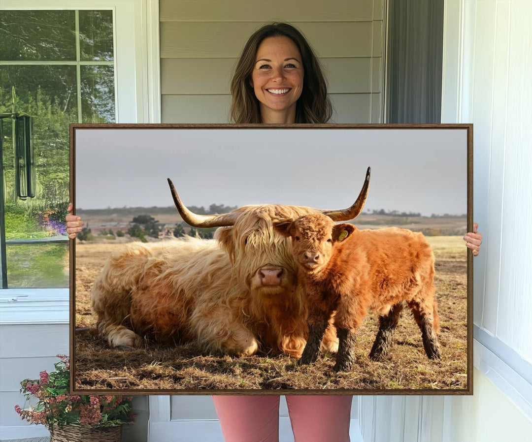 Highland Cow Canvas: a light brown cow and calf in the field, ideal farmhouse decor.