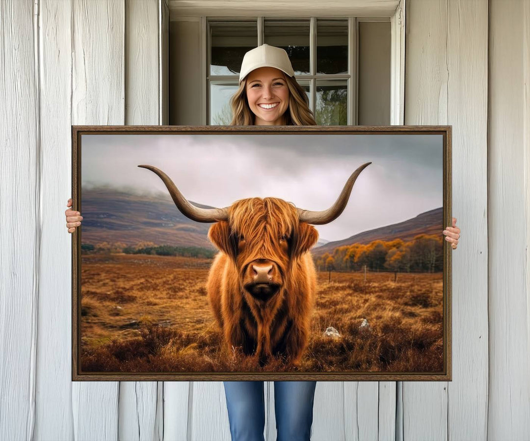 Highland Cow Longhorn Canvas Print, framed, on a wooden wall.