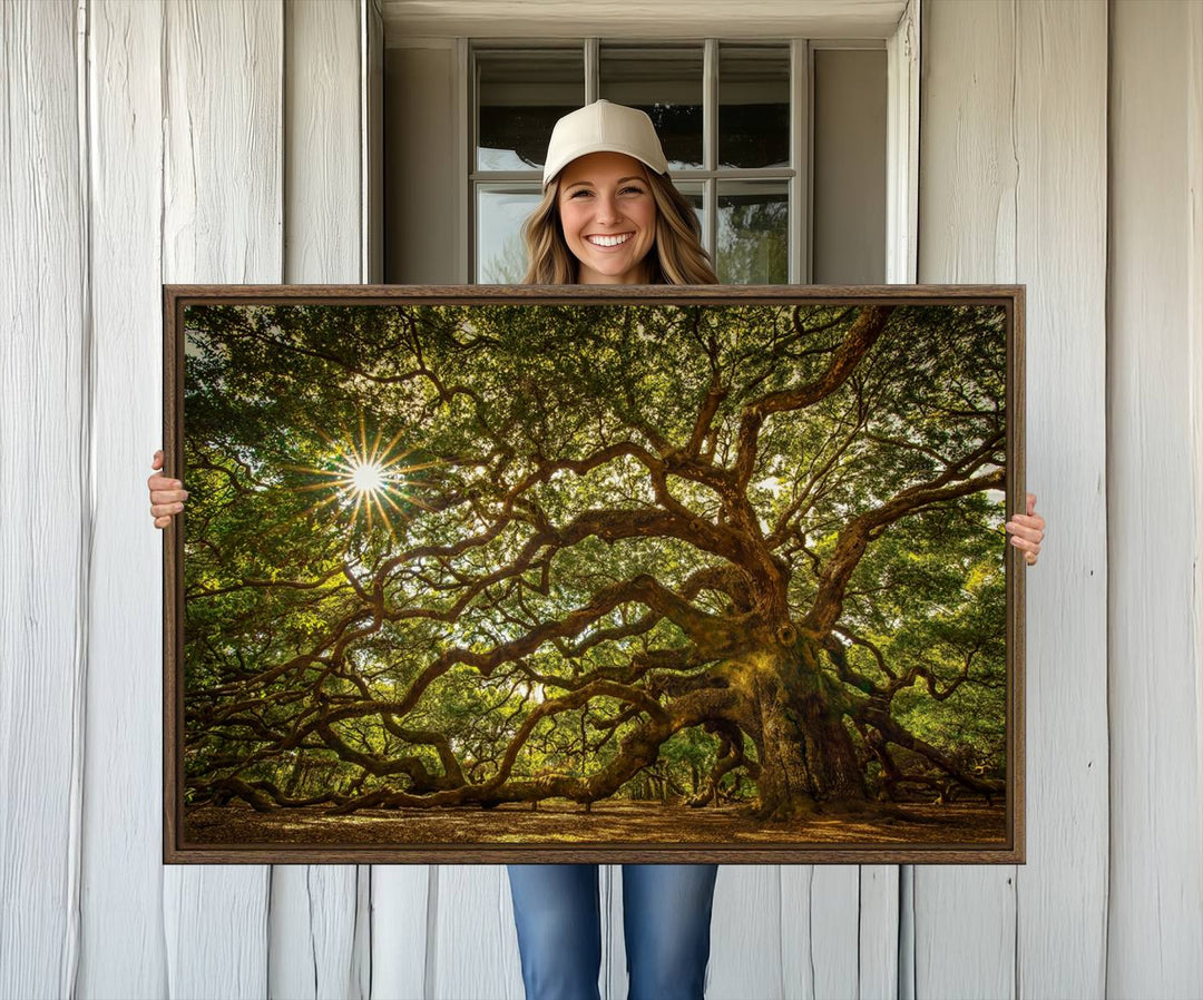 The Ancient Angel Oak Tree Art Sunburst Canvas Print, a framed triptych, serves as wall art.