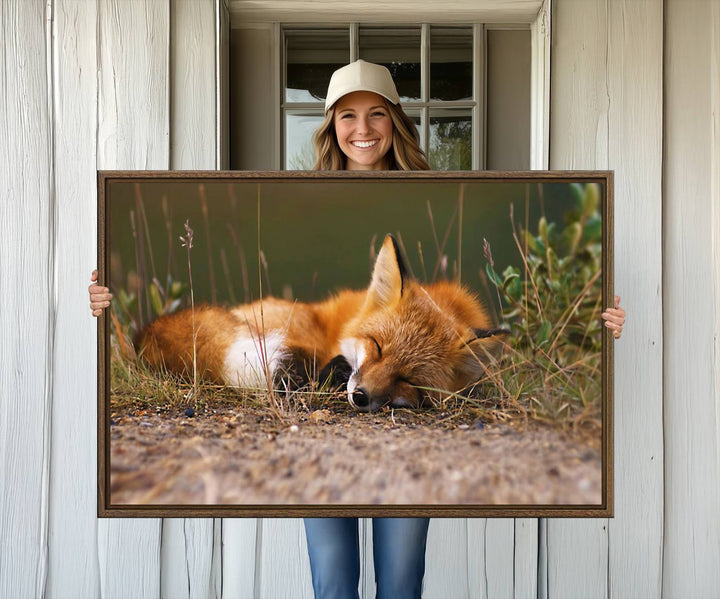 The Sleeping Fox Wall Art Canvas Print is ideal for farmhouse decor.