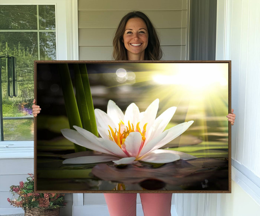 The Lotus Flower Wall Art Canvas Print showcases a white water lily with a yellow center floating gracefully in sunlight.