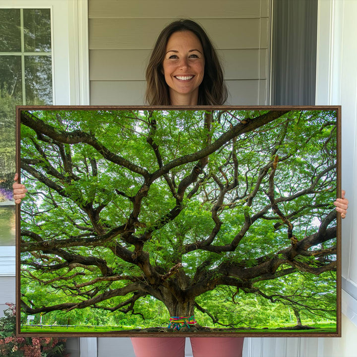Oak Tree Wall Art Print, Forest Canvas Wall Art for Home and Office, Framed Angel Oak Tree Canvas Art Printing