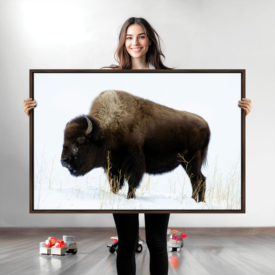 Bison Photography Wall Art Canvas Print, Framed Western Wildlife Art Picture Print, Buffalo On Snow Perfect Western Decor Artwork