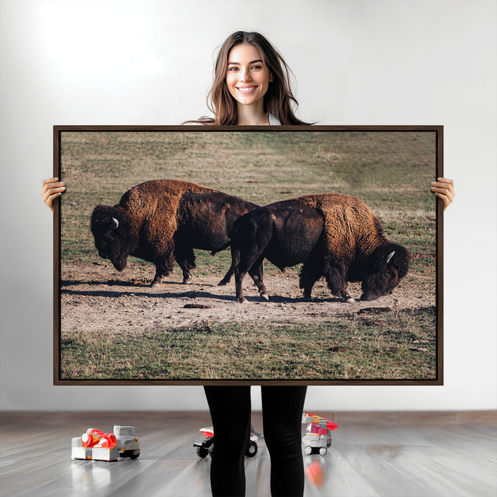 Bison Photography Wall Art Canvas Print, Framed Western Wildlife Art Picture Print, Modern Ranch Perfect Western Rustic Decor Artwork