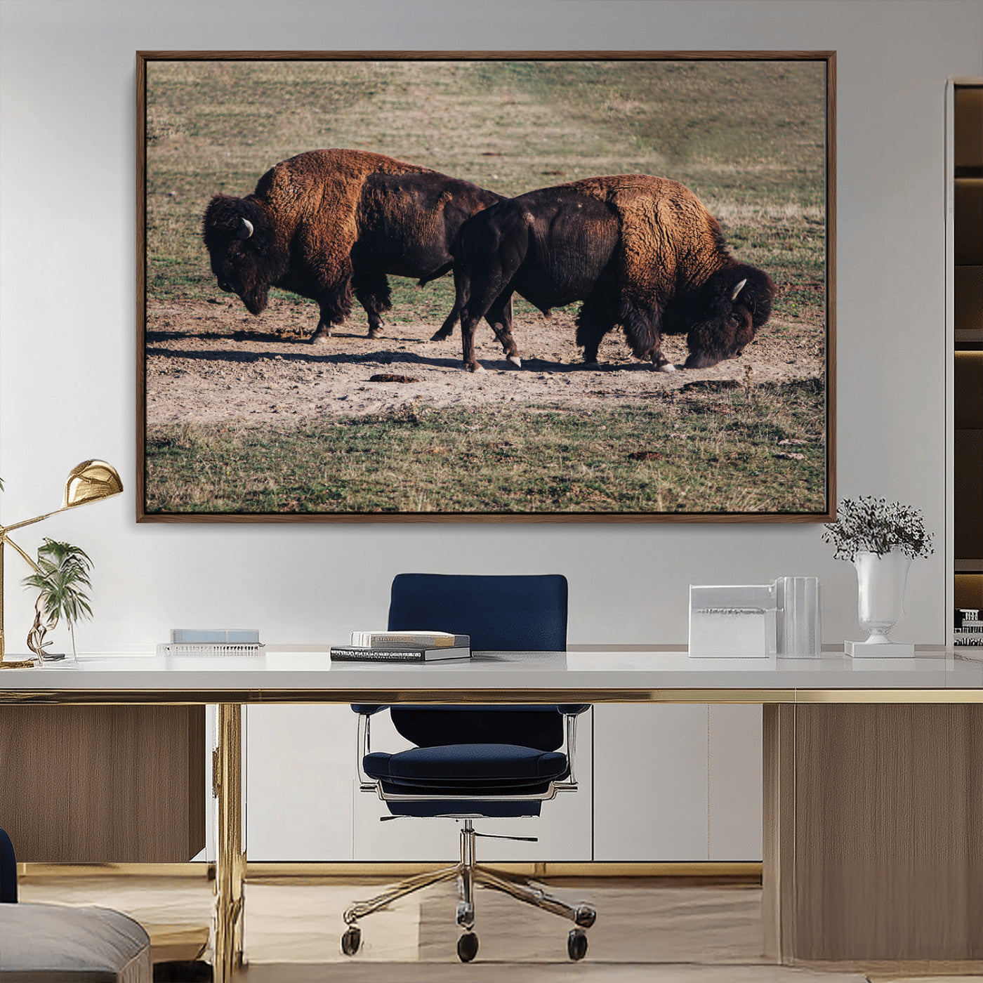 Two bison grazing in an open prairie with dry grass under the sunlight, creating a rustic and Western wildlife scene.