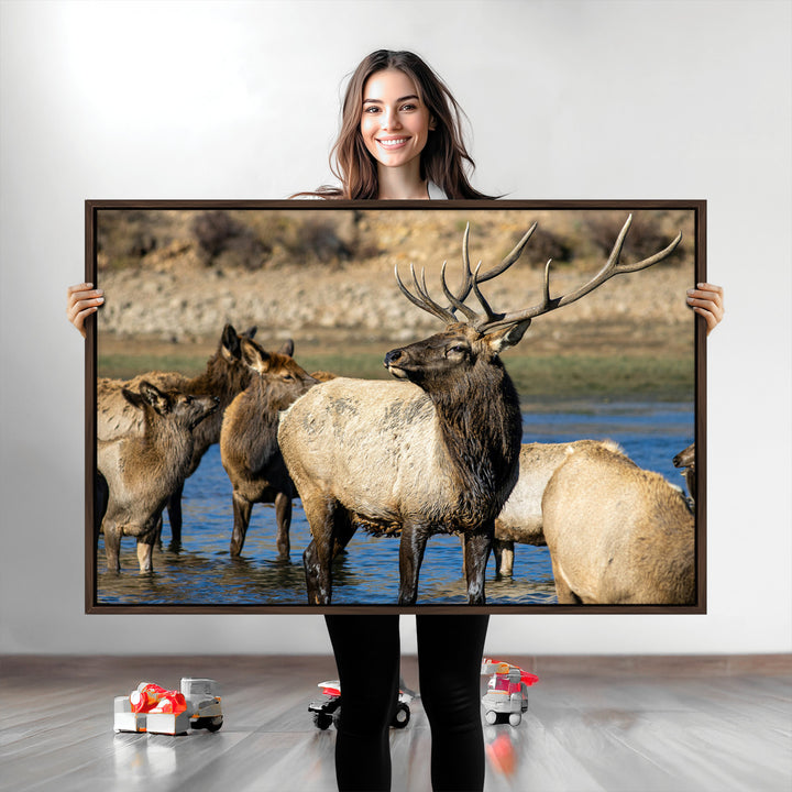 Wild Elk Photography Wall Art Canvas Print, Framed Neutral Wildlife Scene Art Picture Print, Rustic Animal Print Perfect Rustic Farmhouse