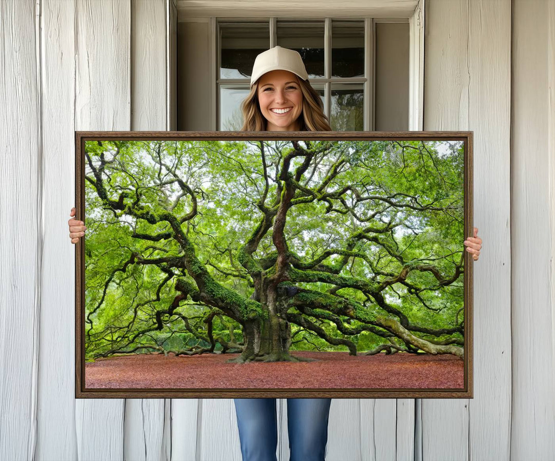 Framed Angel Oak Tree Wall Art: Large 3-panel green nature canvas, ready to hang.