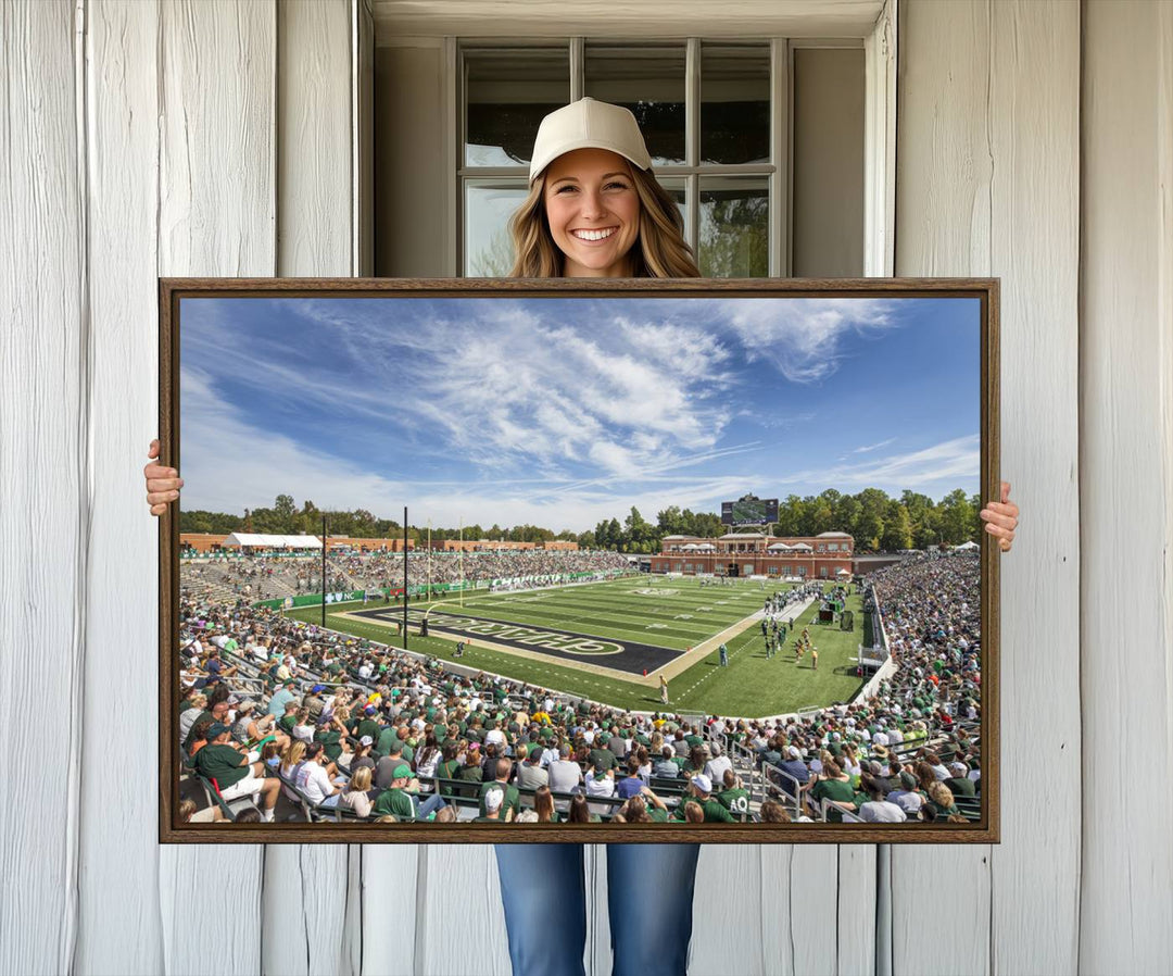 The University of Charlotte 49ers stadium print adds flair to a modern living room wall with its vibrant scene and clear sky.