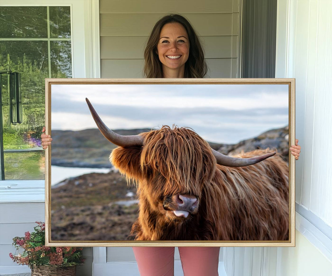 The Cuddly Highland Cow Canvas hangs, adding charm with its shaggy elegance.