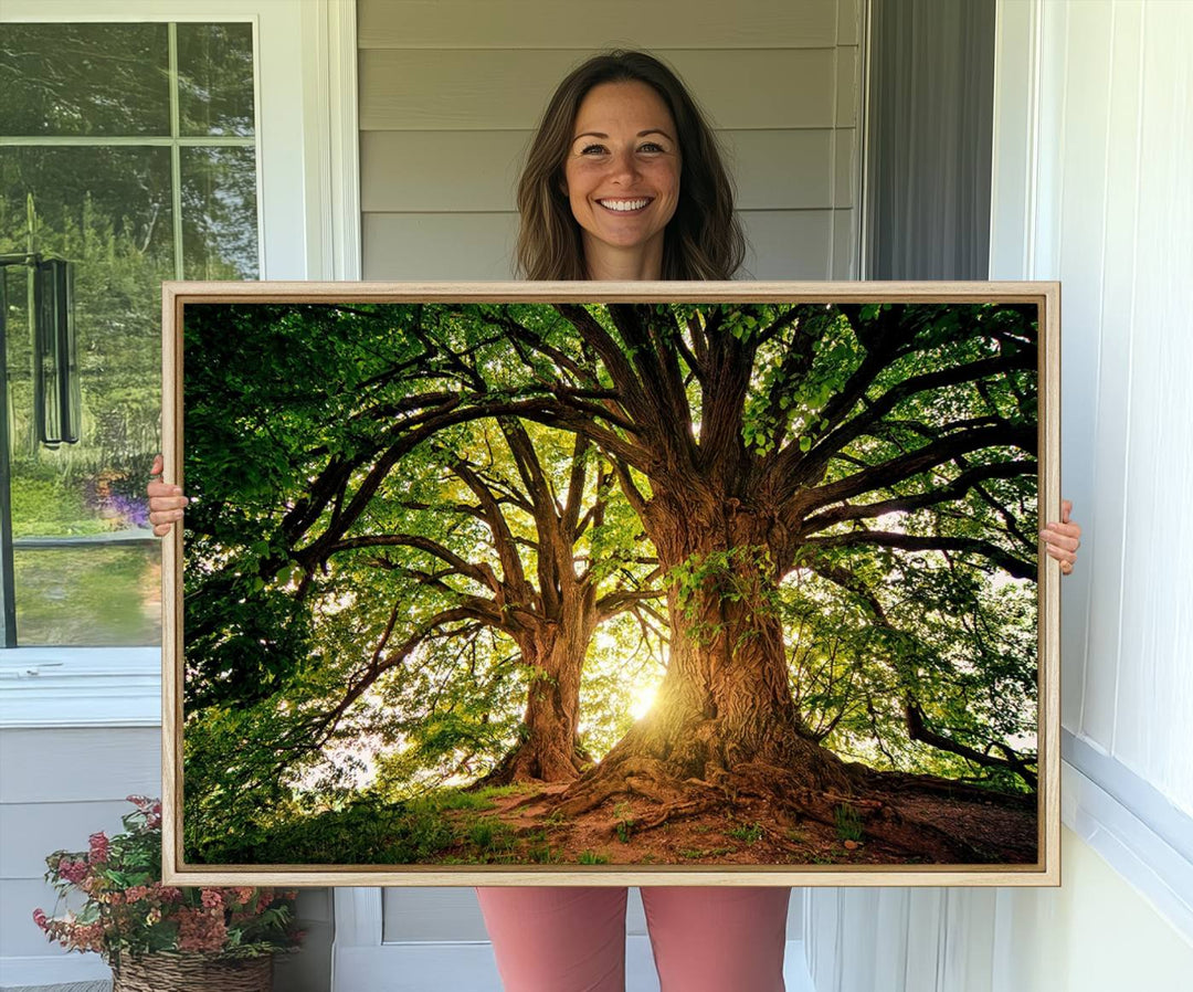 Majestic Ancient Tree Wall Art is illuminated by sunlit forest rays.