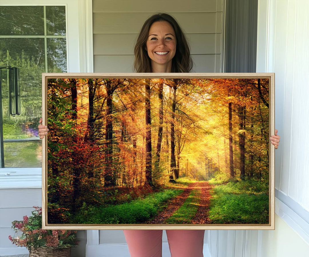 The Sunlight Through Trees Wall Art Canvas Print showcases a sunlit autumn forest and includes UV protection to ensure lasting vibrance.