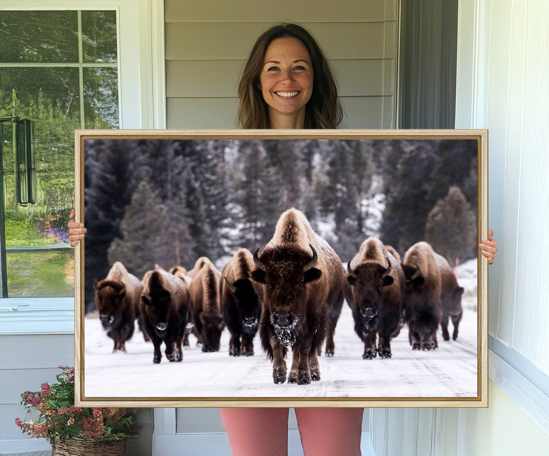 Bison Herd Canvas Wall Art.