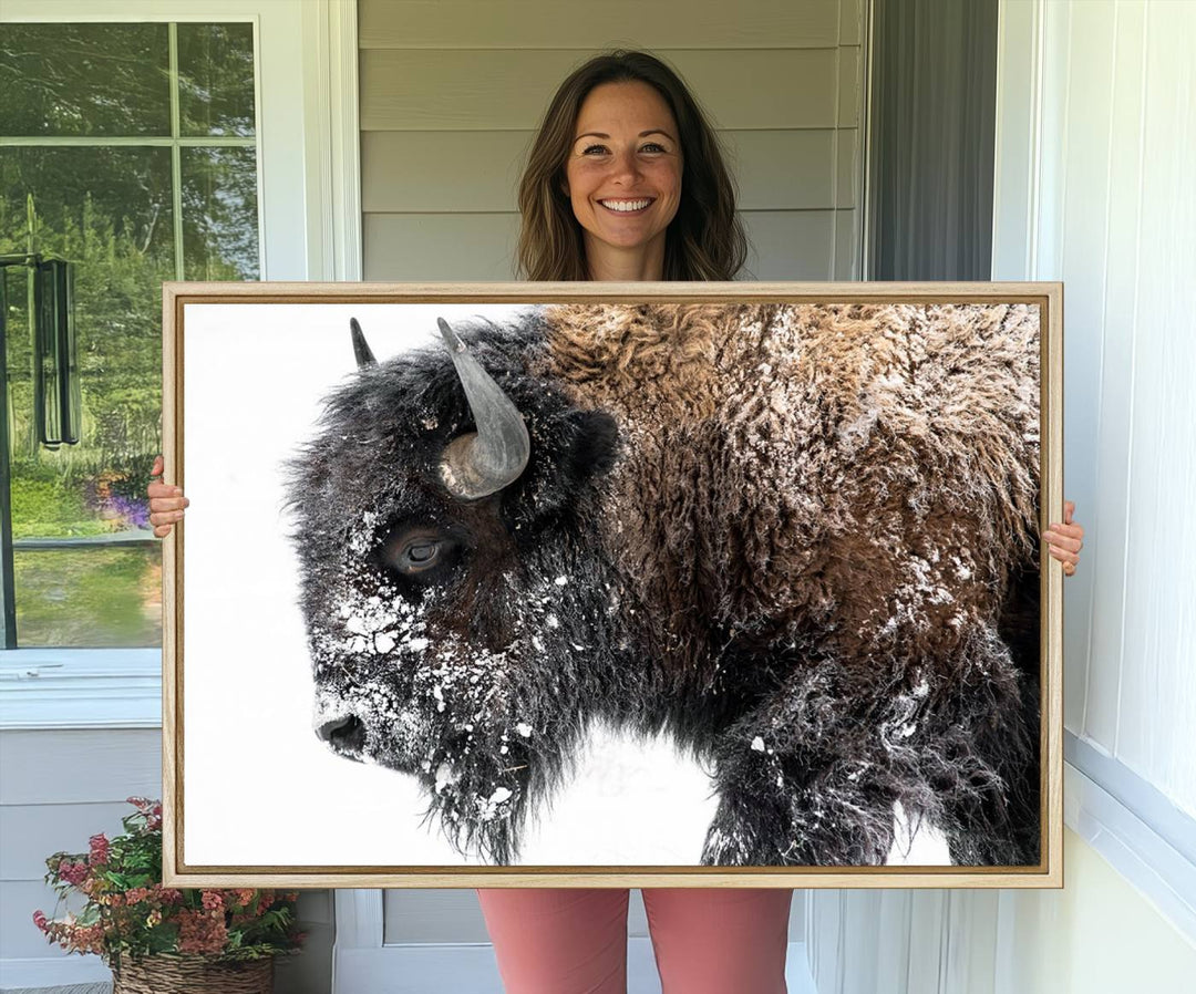 The American Bison Wall Art Print is prominently displayed on the wall.