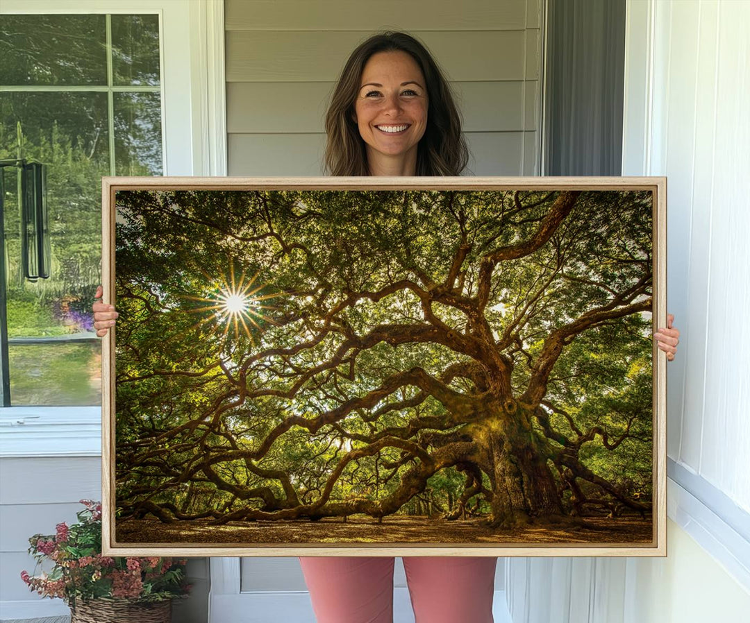 The Ancient Angel Oak Tree Art Sunburst Canvas Print, a framed triptych, serves as wall art.