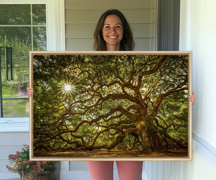 The Ancient Angel Oak Tree Art Sunburst Canvas Print, a framed triptych, serves as wall art.