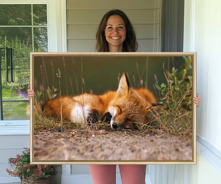 The Sleeping Fox Wall Art Canvas Print is ideal for farmhouse decor.