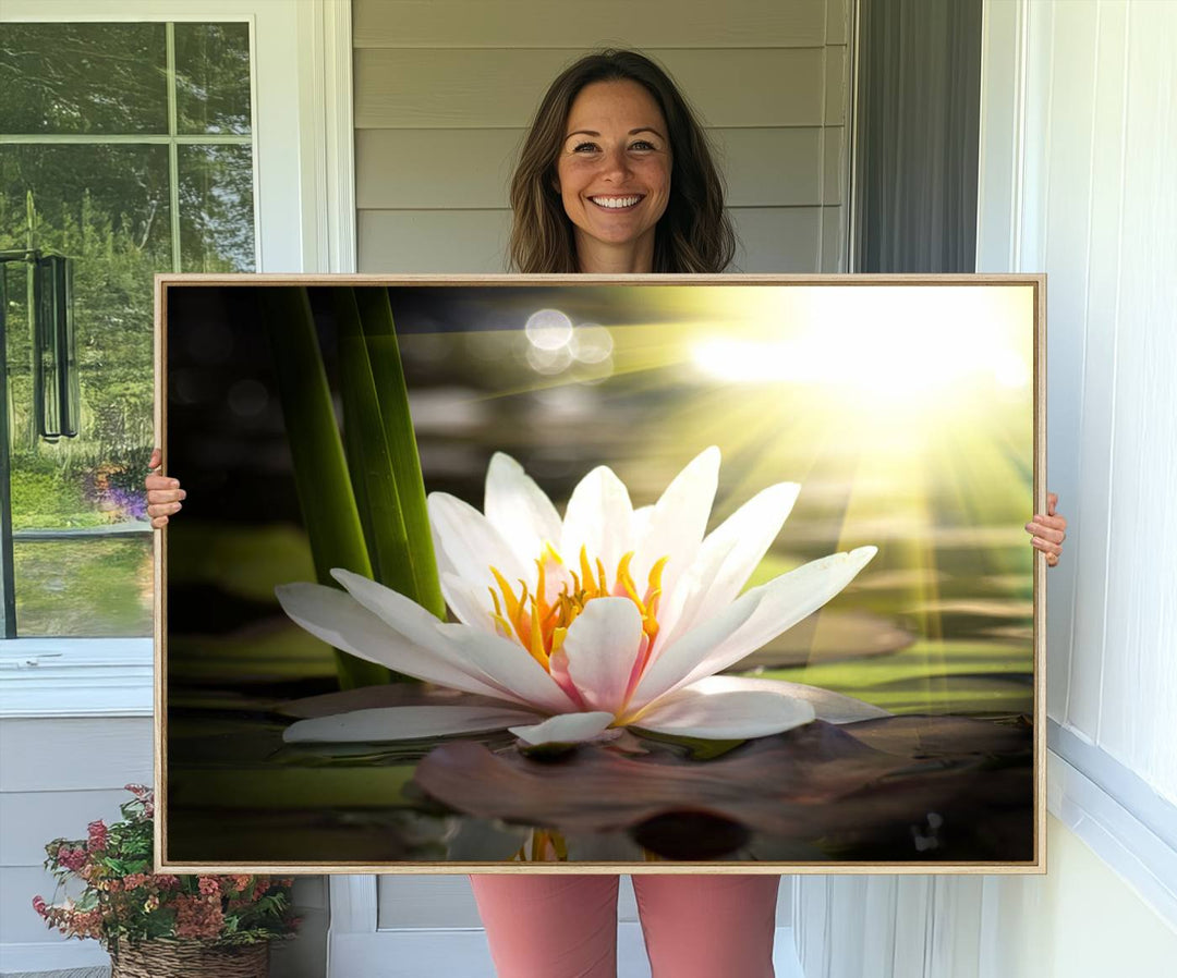 The Lotus Flower Wall Art Canvas Print showcases a white water lily with a yellow center floating gracefully in sunlight.