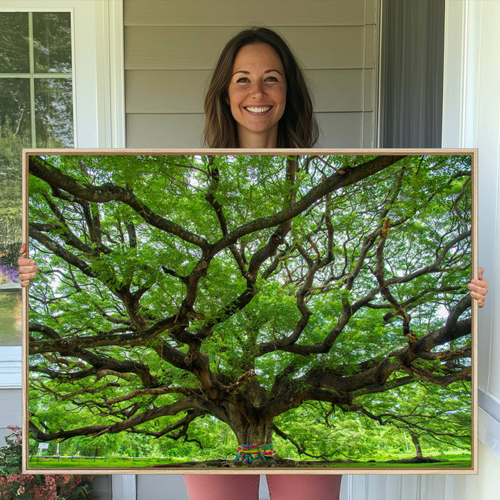 Oak Tree Wall Art Print, Forest Canvas Wall Art for Home and Office, Framed Angel Oak Tree Canvas Art Printing