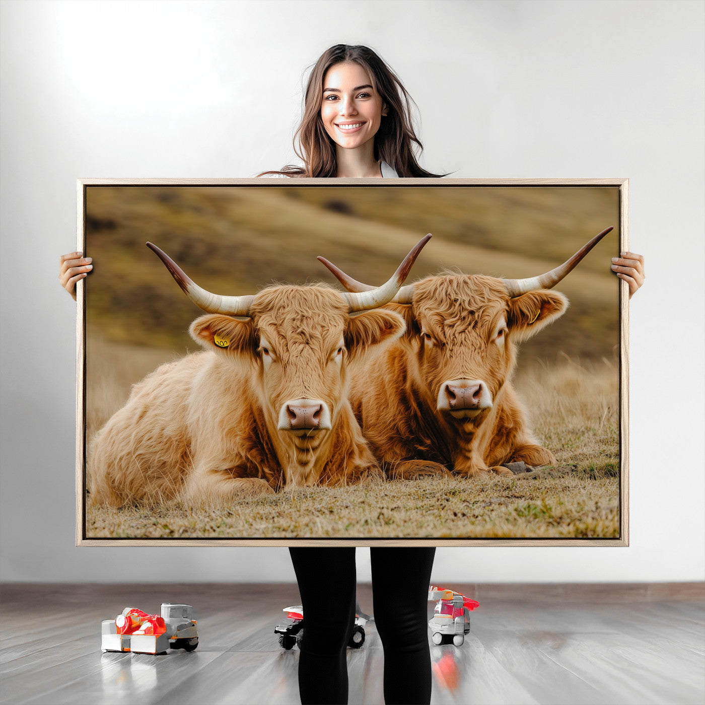 Two Highland cows resting on a golden field with soft focus hills, ideal for rustic farmhouse or cozy cabin style decor.