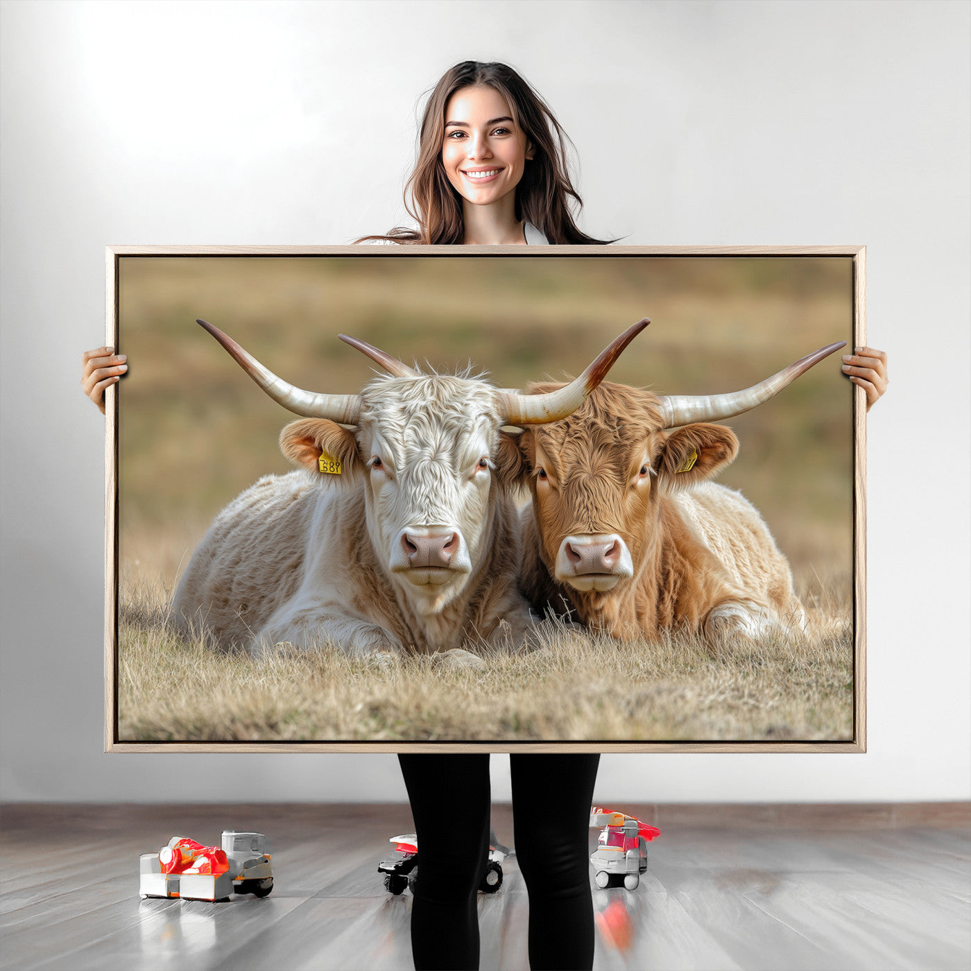 Two cows laying closely in a dry grassy field, captured in soft light, perfect for rustic farmhouse or western style home decor.