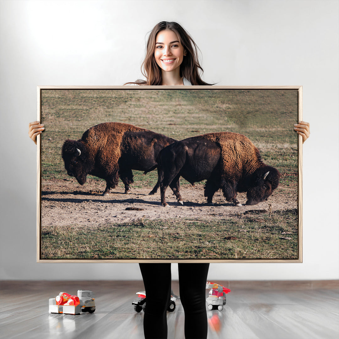 Bison Photography Wall Art Canvas Print, Framed Western Wildlife Art Picture Print, Modern Ranch Perfect Western Rustic Decor Artwork