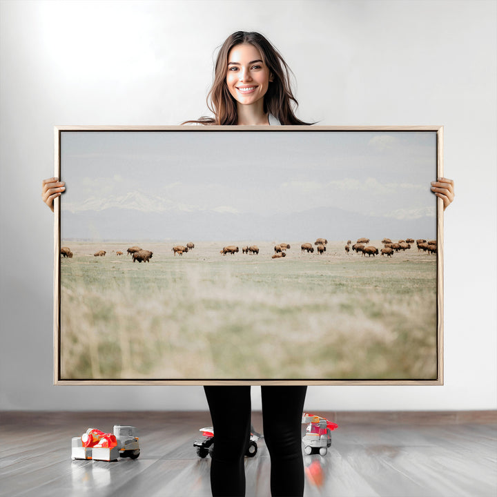 Bison Herd Wall Art Canvas Print, Framed Western Art Picture Print, Bison Perfect Ranch Decor Artwork