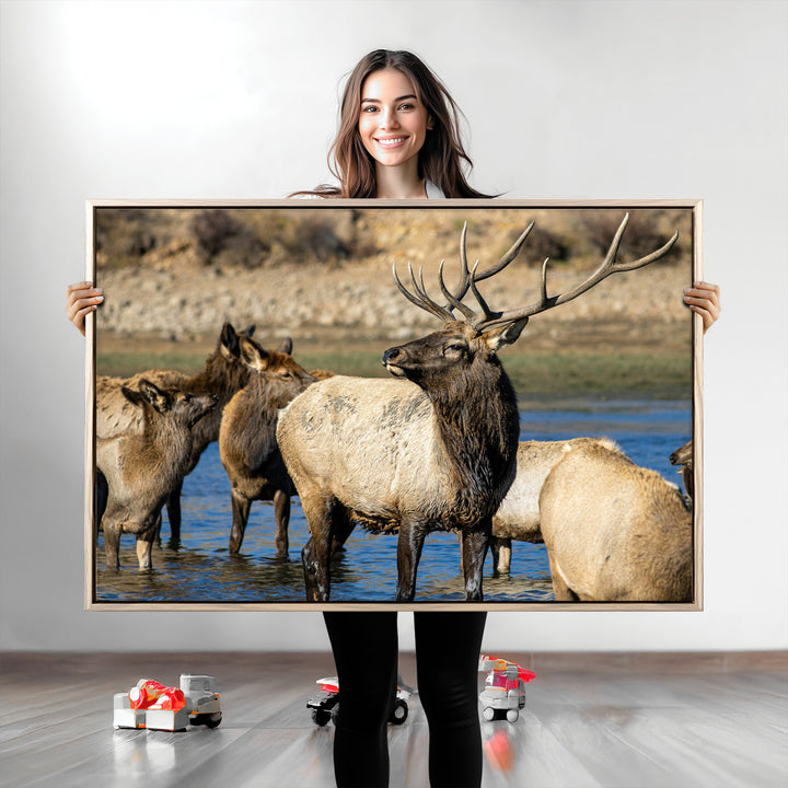 Wild Elk Photography Wall Art Canvas Print, Framed Neutral Wildlife Scene Art Picture Print, Rustic Animal Print Perfect Rustic Farmhouse