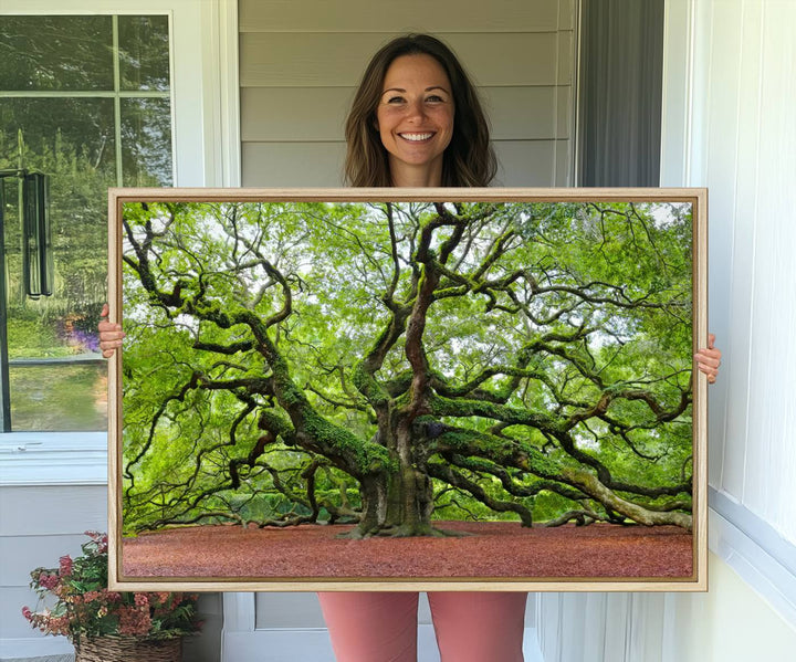 Framed Angel Oak Tree Wall Art: Large 3-panel green nature canvas, ready to hang.