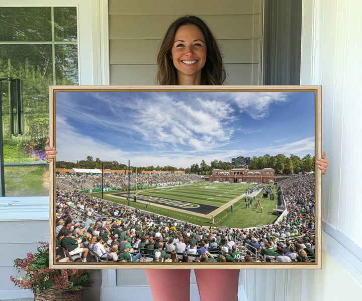 The University of Charlotte 49ers stadium print adds flair to a modern living room wall with its vibrant scene and clear sky.