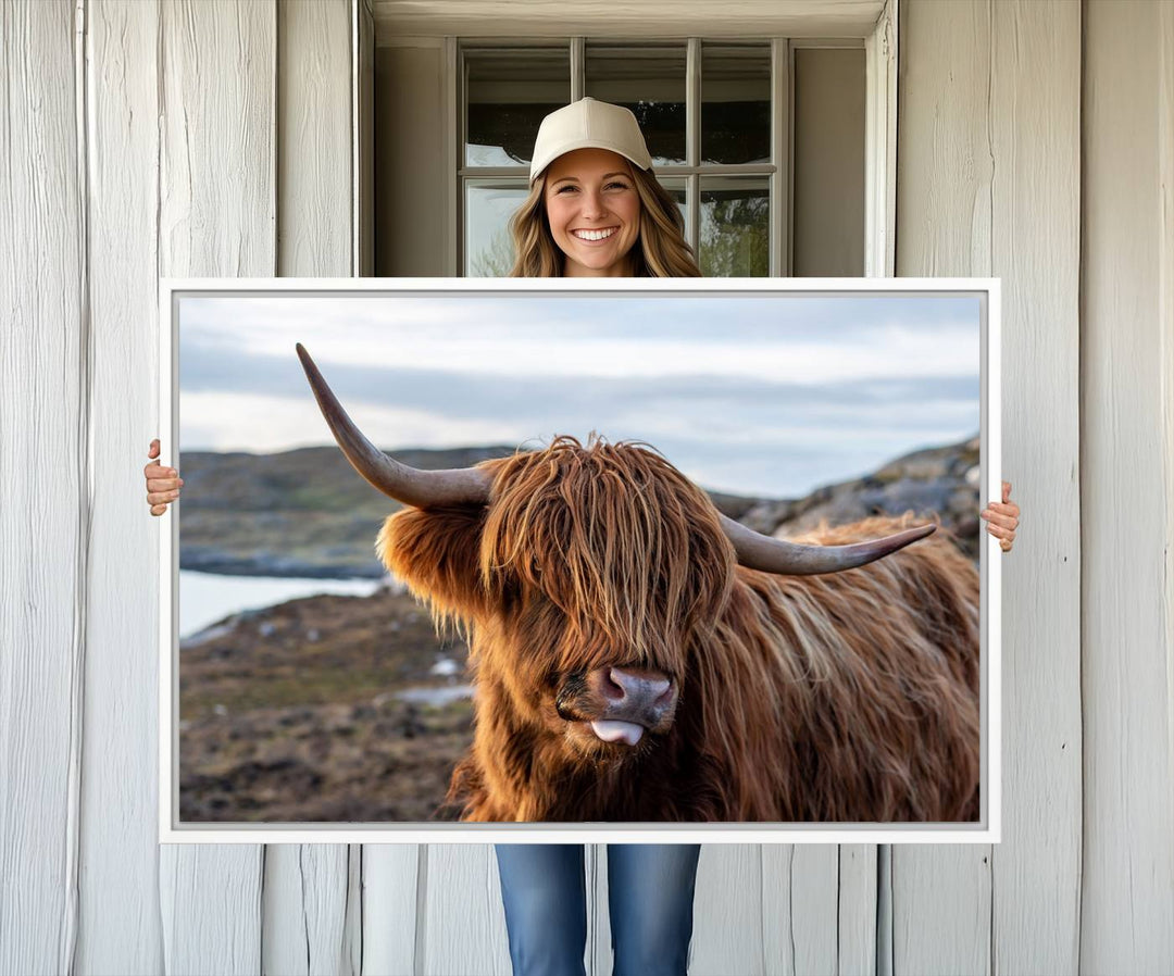 The Cuddly Highland Cow Canvas hangs, adding charm with its shaggy elegance.