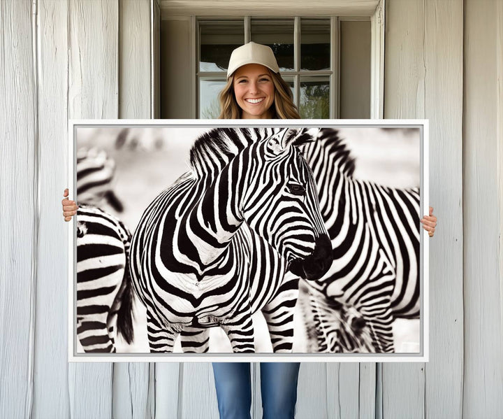 The Brilliant Zebra Photography Art Canvas Print hangs prominently on the wall.